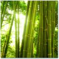 Бамбуковые одеяла - Интернет-магазин SilkLife