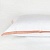 VIENNA NOBLE ROSE GRASS наволочка - Интернет-магазин SilkLife